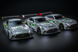 AKTUALISIERUNG: Nachtstartverbot für AMG-Piloten - 24 Stundenrennen von Le Mans: Mercedes kehrt zurück!: Mercedes-AMG Team Iron Lynx: Durchwachsenes Qualifying beim Le-Mans-Debüt - der jüngste Fahrer fährt Mercedes