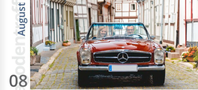 Pagodenkalender 2019: Schicker W113-Wandkalender