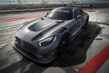 Mercedes-Premiere: AMG GT3 Edition 50 : Limitierter Kundensport-Rennwagen zum 50. Geburtstag von Mercedes-AMG