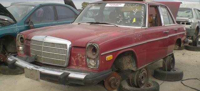 Schöne Sterne auf dem Schrottplatz!: Ein Mercedes-Fans-Redakteur auf Streifzug nach alten Mercedes-Benz
