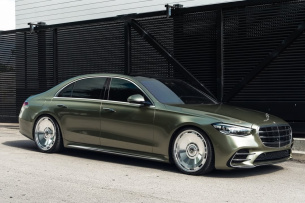 Toller mit 20 Zoller